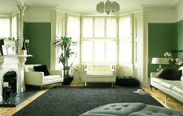En Güzel Salon Çiçekleri ve Kullanımı