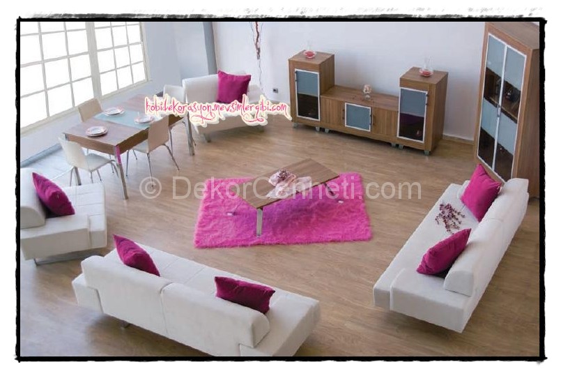 Kahverengi ve Pembe Koltuk Modelleri